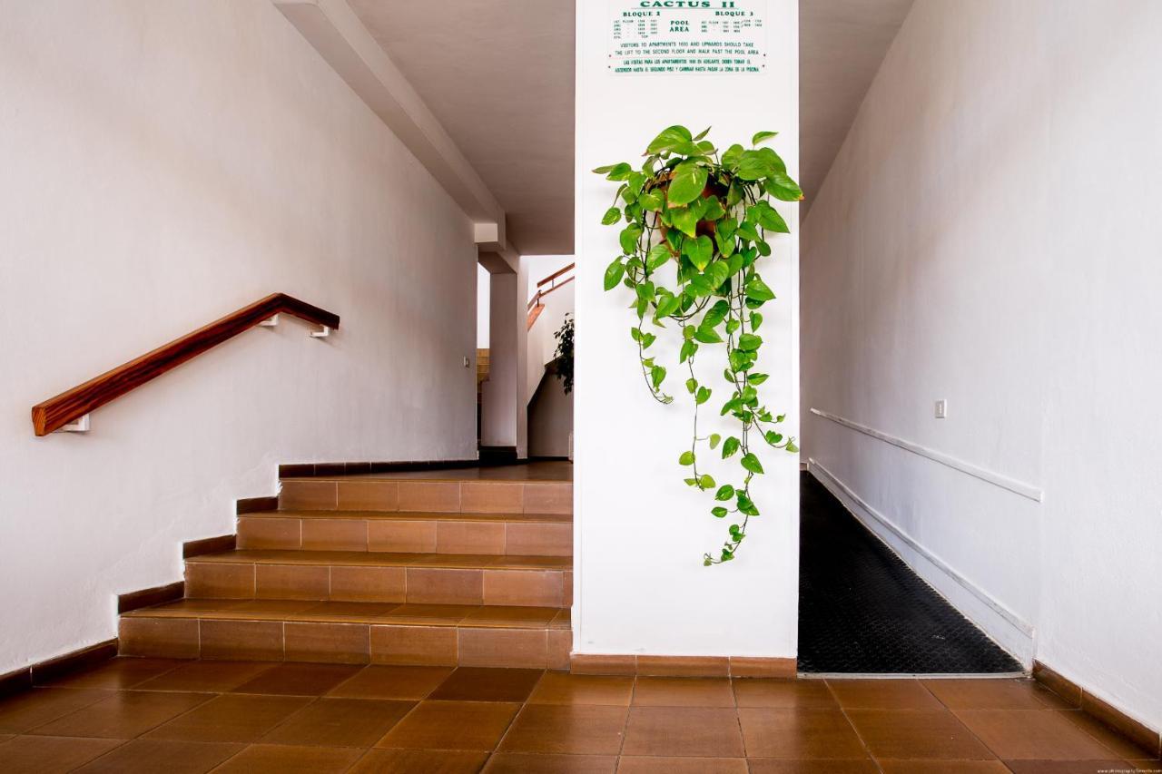 Apartmento Cactus II Los Cristianos  Exterior photo